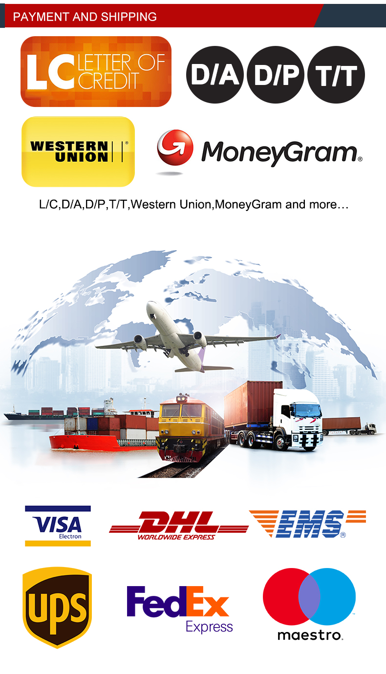 Cargador de dirección de patrón HT-L25