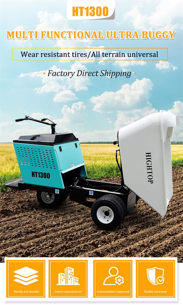  Mini cami&oacute;n volquete