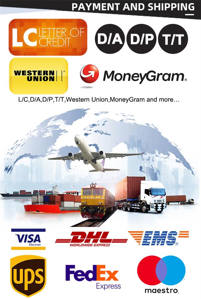  Miniexcavadora HT18L