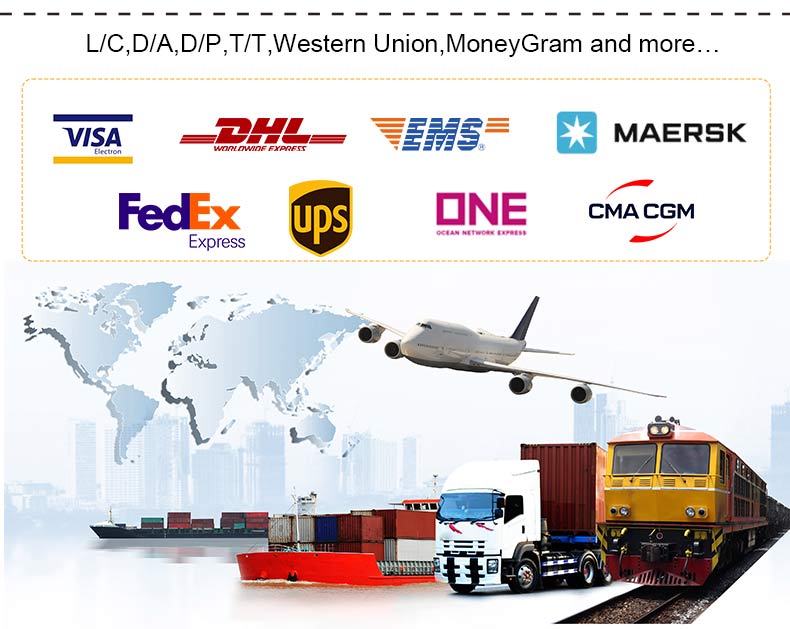  Cargadora compacta HT1000